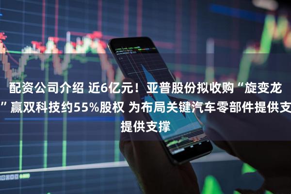 配资公司介绍 近6亿元！亚普股份拟收购“旋变龙头”赢双科技约55%股权 为布局关键汽车零部件提供支撑