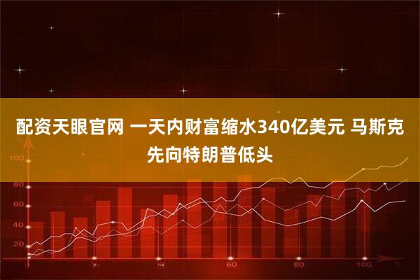 配资天眼官网 一天内财富缩水340亿美元 马斯克先向特朗普低头