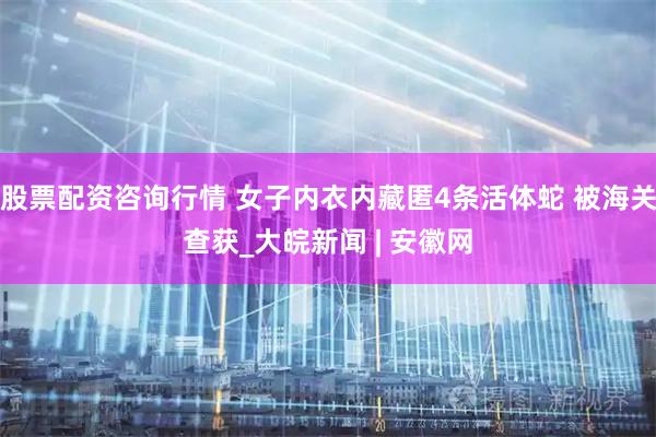 股票配资咨询行情 女子内衣内藏匿4条活体蛇 被海关查获_大皖新闻 | 安徽网
